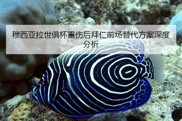 mu-xi-ya-la-shi-ju-bei-zhong-shang-hou-bai-ren-qian-chang-ti-dai-fang-an-shen-du-fen-xi-2-939.jpg